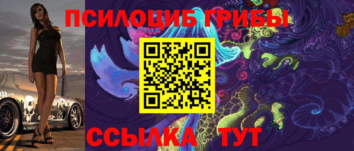 Галлюциногенные грибы Psilocybine cubensis Тихвин