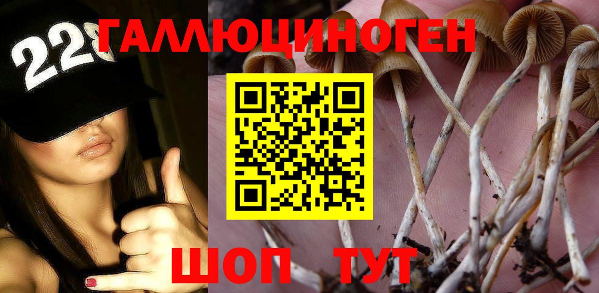 Тихвин  Галлюциногенные грибы мухоморы  Вход с VPN 
